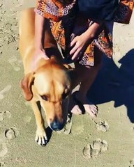 Masterchef 4: Το ταξίδι του Λασκαρίδη