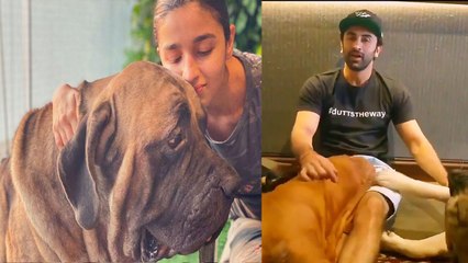 Alia Bhatt के बाद Ranbir दिखे अपने Dogs के साथ, वायरल हुआ Throwback video | FilmiBeat