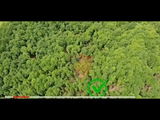 Report TV- Policia kontrolle me dron, 31-vjeçari në Bulqizë kultivonte kanabis në oborrin e shtëpisë