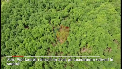 2 dronë dhe 50 policë/ Dibra “nën monitorim” për kanabisin, arrestohet 31-vjeçari