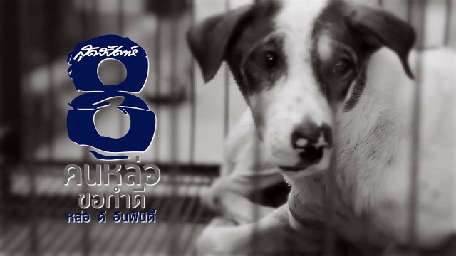 [Teaser] สุดสัปดาห์ คนหล่อขอทำดีปี 8 ไนกี้ นิธิดล (SudsapdaTV)