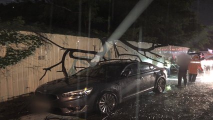 대전·충남 집중호우로 피해 잇따라 / YTN