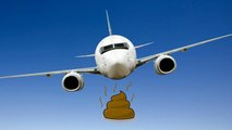 हवाई जहाज के बाथरूम की गंदगी आखिर कहां जाती है | Where does Toilet Waste Go On a plane | Boldsky