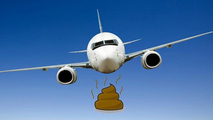 हवाई जहाज के बाथरूम की गंदगी आखिर कहां जाती है | Where does Toilet Waste Go On a plane | Boldsky