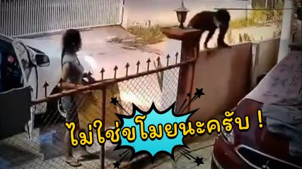 ส่งของให้ถึงหน้าประตูบ้าน ไม่ใช่หัวขโมยนะครับ ว่าแล้ว.. ยกนิ้วโป้งให้กล้อง 1 ที !!