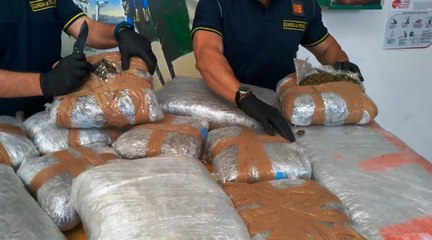 Droga dall'Albania alla Puglia, 17 indagati. 4 tonnellate di marijuana sequestrate (11.06.20)