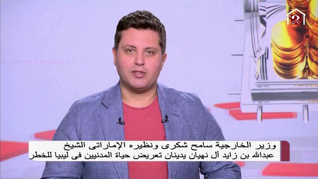 وزير الخارجية سامح شكري ونظيره الإماراتي الشيخ عبدالله بن زايد آل نهيان يدينان تعريض حياة المدنيين في ليبيا للخطر