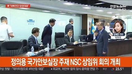 靑 "대북전단 살포 철저단속…위반시 엄정대응"