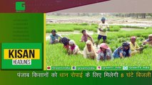 Kisan Bulletin : Punjab किसानों को Paddy (धान) रोपाई के लिए Kisano को मिलेगी 8 घंटे बिजली | Grameen News