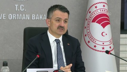Pakdemirli: 'Başaktaki bir buğday tanesinin bile zayi edilmemesi için gerekli tespit çalışmalar yapılmalıdır' - ANKARA