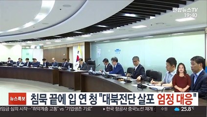 침묵 끝에 입 연 청 "대북전단 살포 엄정 대응"