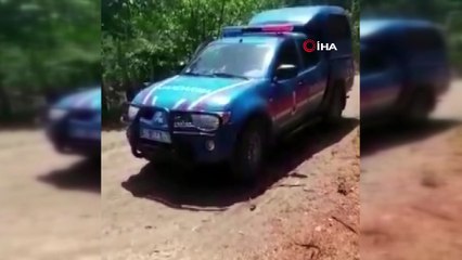 Duyarlı vatandaş karacayı jandarmaya teslim etti