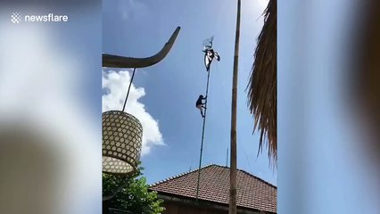 Indonesian man climbs up satellite dish pole to get kite tangled on it