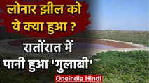 Maharashtra Lonar Lake Pink: रातोंरात झील का पानी कैसे हो गया गुलाबी? | वनइंडिया हिंदी