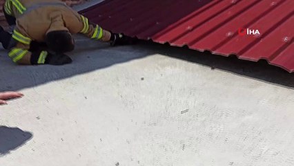 Ekipler mahsur kalan kedi için seferber oldu