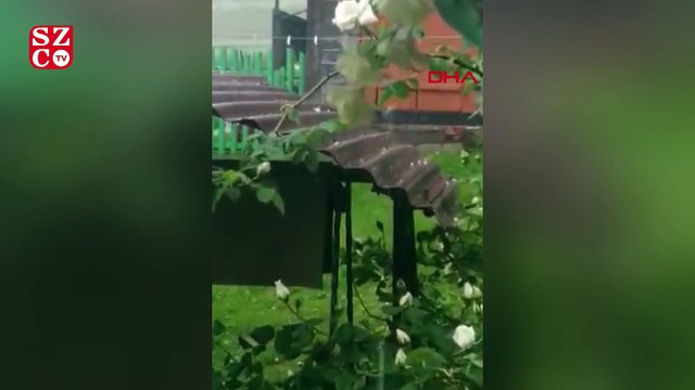 Ukrayna'ya haziran ayında yumurta büyüklüğünde dolu yağdı