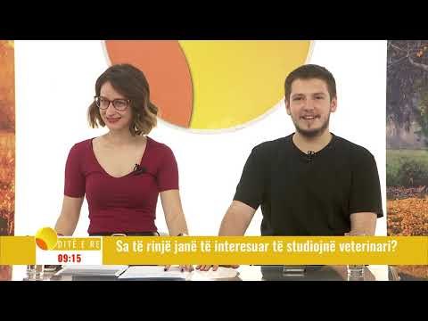 Ditë e re - Sa të rinjtë janë të interesuar të studiojnë veterinari?