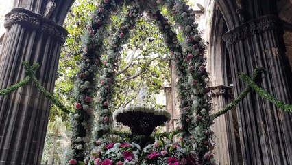 'Ou com balla' por el Corpus en la Catedral de Barcelona