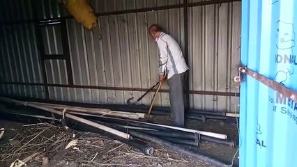 सर्प विशेषज्ञ खलील मियां ने 8 फीट लंबा सांप पकड़ा