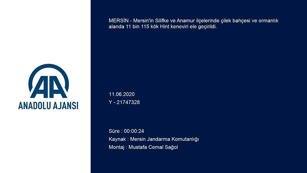 11 bin 115 kök Hint keneviri ele geçirildi - MERSİN