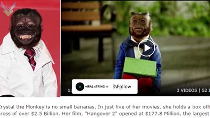 ఈ కోతి సూపర్. Do you how much this monkey earns?