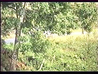 Rallye de VICHY Montagnes Bourbonnaise 1992 . V4