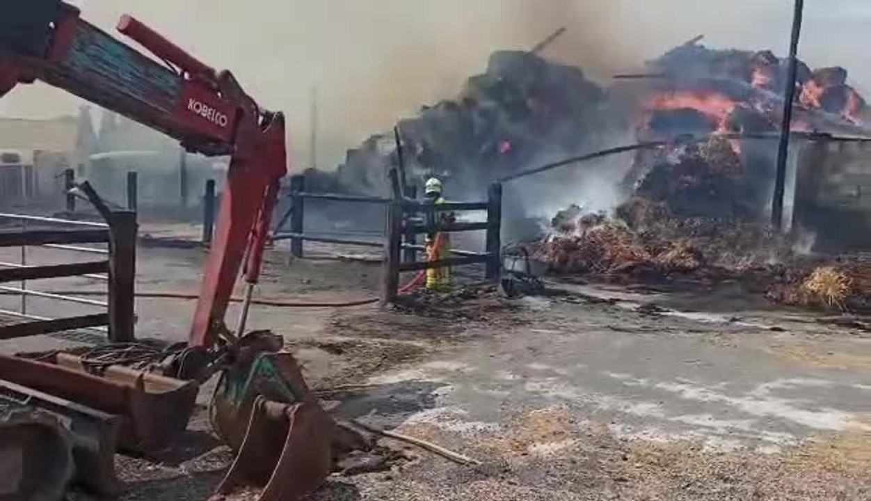 Incendie d'écuries à Lesve (Profondeville) - 2