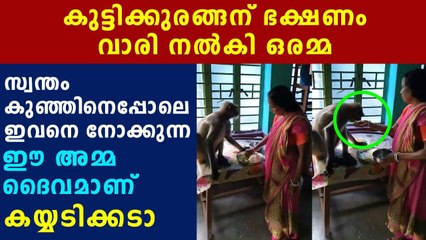 woman feeds monkey like a kid | Oneindia Malayalam