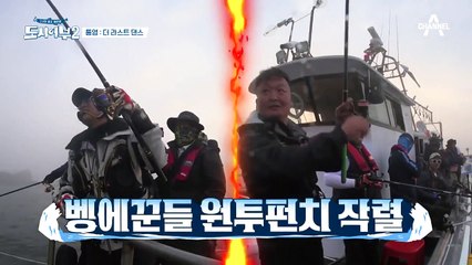 [돌돔 최대어 등극] 덕화옹이 잡은 귀하디 귀한 39cm 자연산 돌돔♡_♡