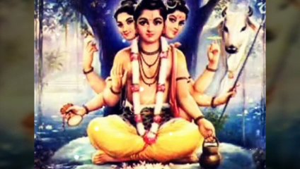निर्जला एकादशी -ग्यास __स्पेशल __हरि __ Nirjala __ ekadashi-gyaras__ vrat