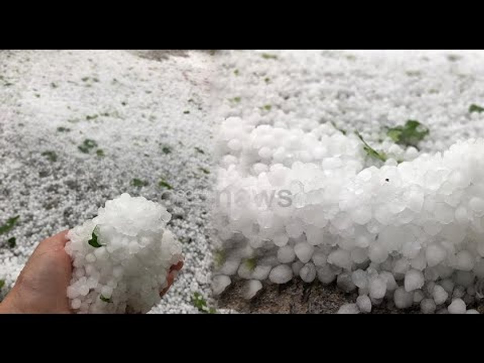 Ora News - Prodhimi në "kosh", breshëri shkatërron pemët frutore dhe kulturat bujqësore në Maliq