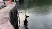 شاهد: سحب تمثال تاجر الرقيق كولستون من الماء بعدما رماه متظاهرون ضد العنصرية