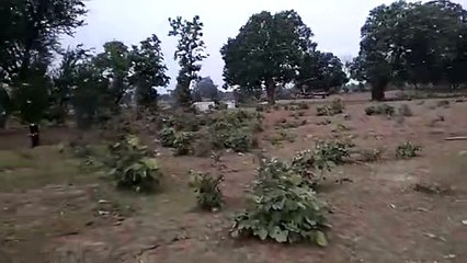 video_2020-06-11_20-28-23