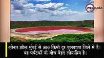 Maharashtra के buldhana में Lonar Lake (लोनार झील) का पानी गुलाबी हुआ