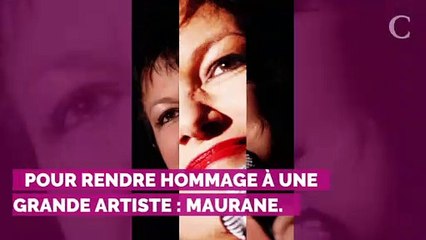 Gad Elmaleh : son touchant hommage à Maurane