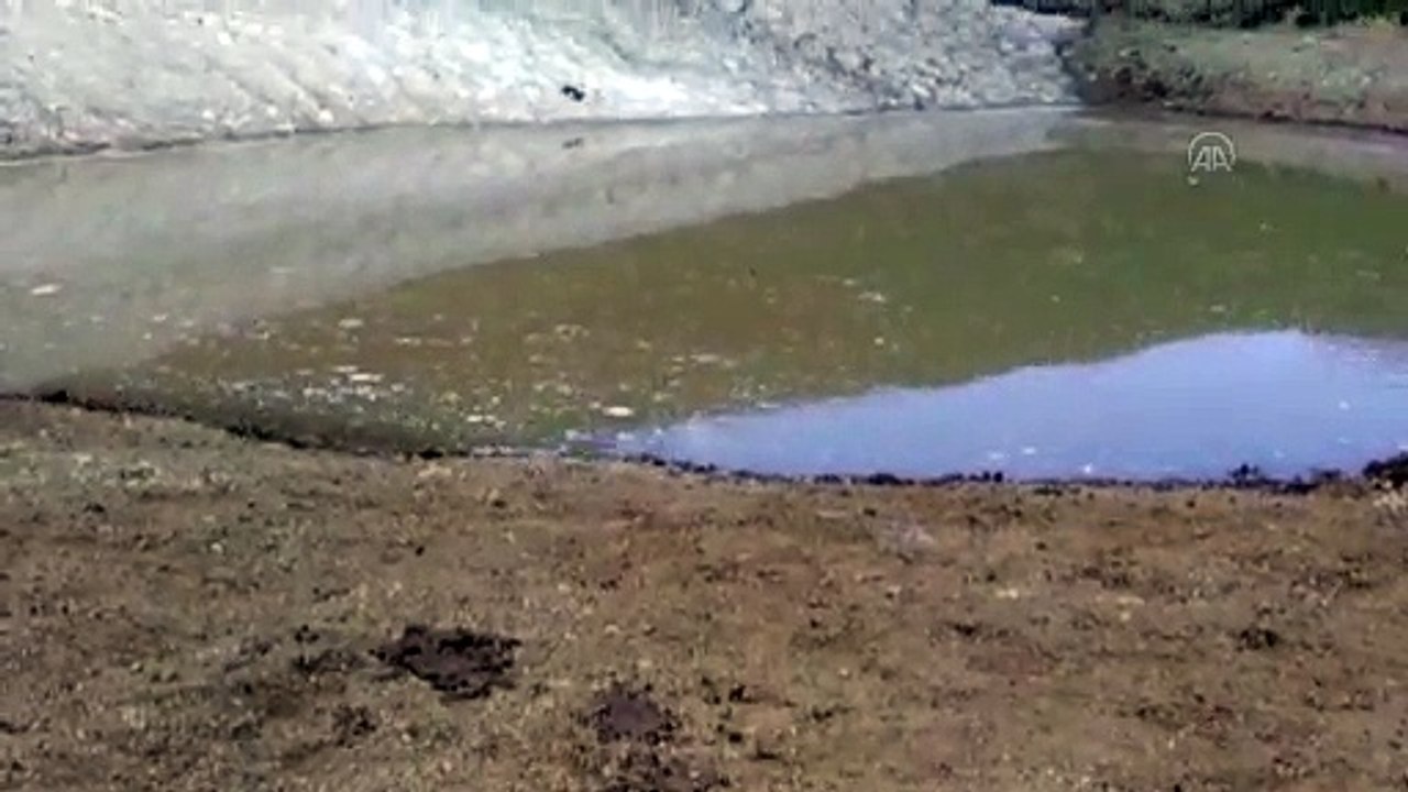 Dipsiz Göl su tutmaya başladı (2) - GÜMÜŞHANE