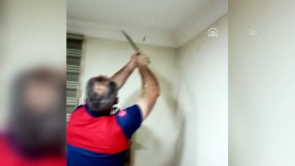 Klimanın borusundan eve giren iki yılan kartonpiyer kesilerek çıkarıldı - DÜZCE