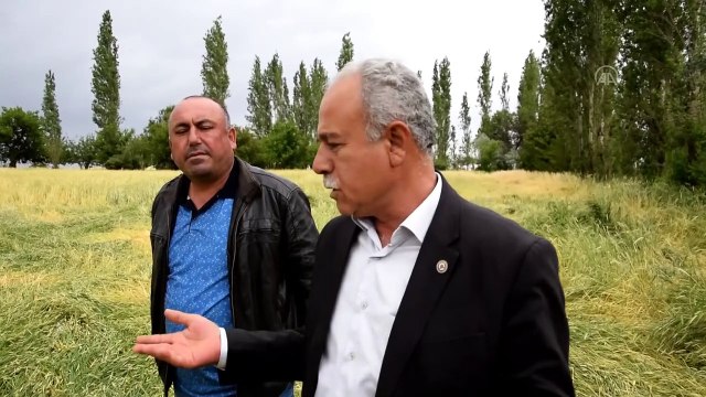 Kulu'da dolu yağışı tarım ürünlerine zarar verdi - KONYA