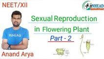 Sexual Reproduction in flowering plant | part - 2 | NEET |Class - 12 I NHEAD | Anand Arya