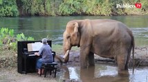 El pianista que susurra a los elefantes