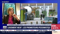 Logement neuf : les promoteurs pessimistes - 11/06