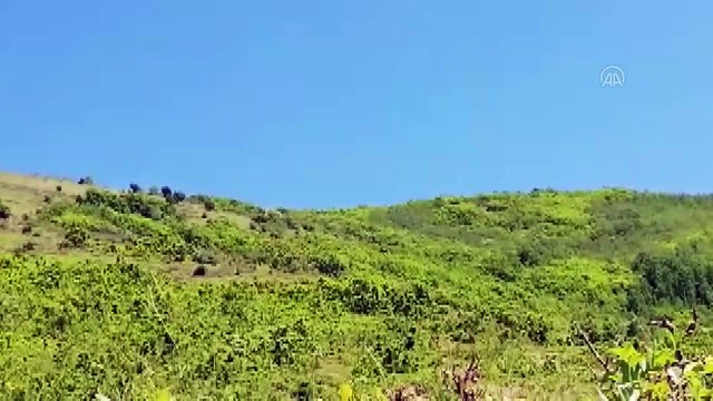 290 kilogram el yapımı patlayıcı imha edildi - BİTLİS