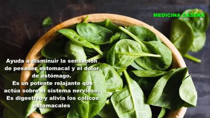 La albahaca para que sirve como planta medicinal