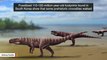 Footprints Reveal Ancient Crocodiles Walked On Two Legs Like Dinosaurs