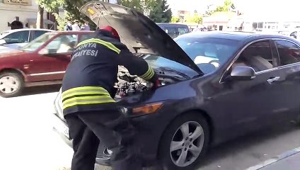 Beyşehir'de yılan paniği - KONYA