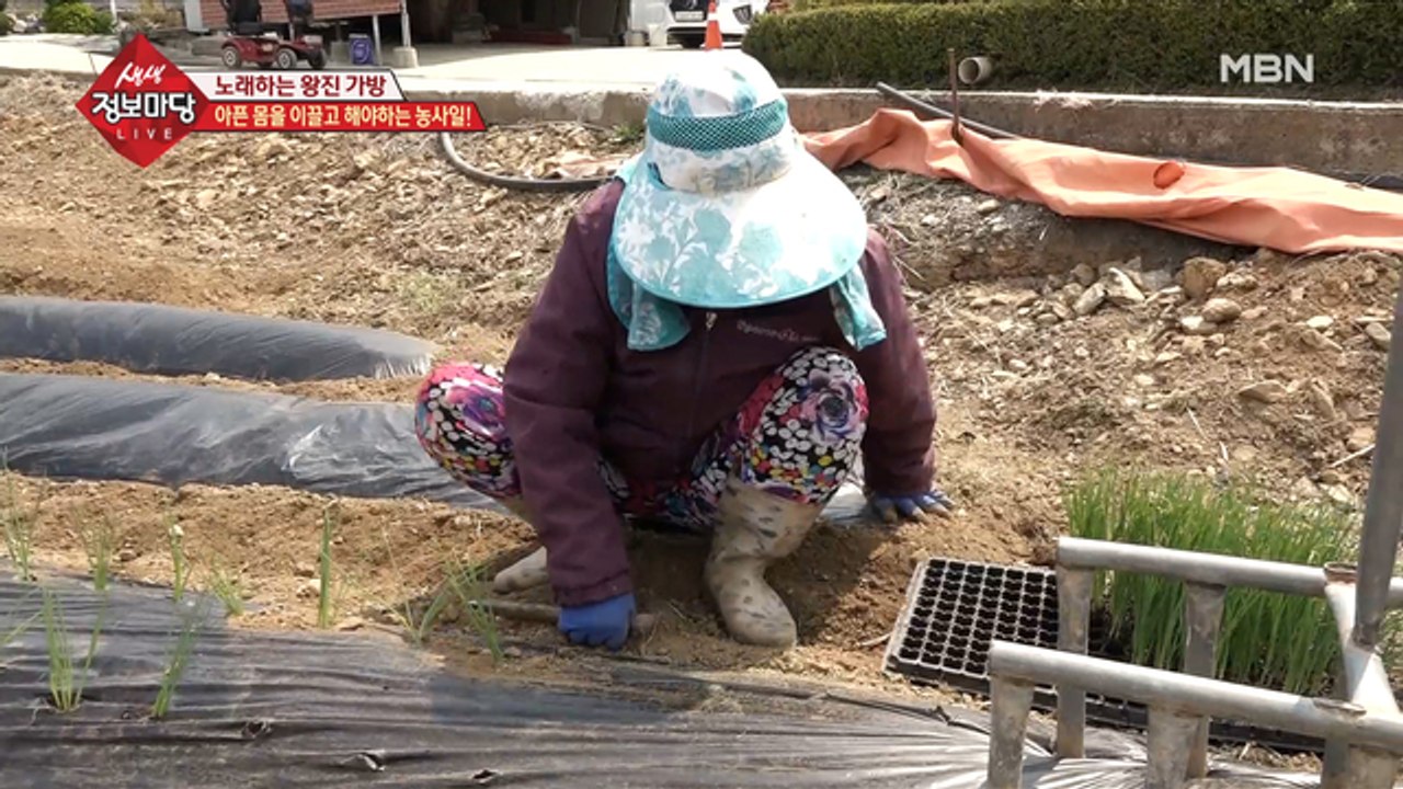 아픈 몸을 이끌고 해야 하는 농사일!