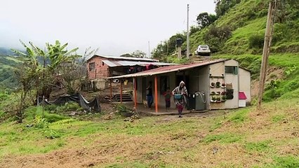 Familia campesina colombiana conquista YouTube con 'tips' para abrazar el agro