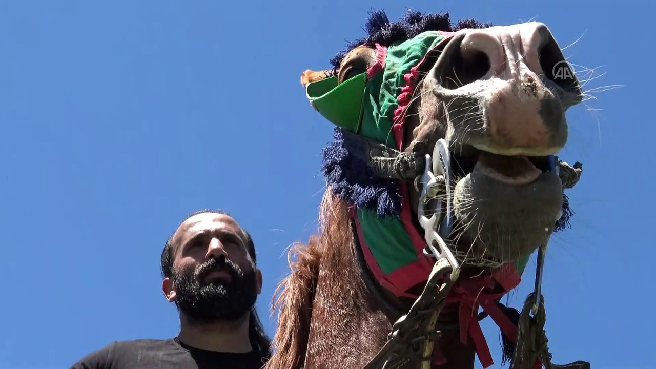 Normalleşmeyle "dörtnala cirit" heyecanı başladı - KARS