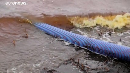 Autarca russo acusado depois de catástrofe ambiental