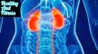 আপনার যে ৬টি ভুল অভ্যাসের কারণে ধীরে ধীরে নষ্ট হয়ে যাচ্ছে কিডনি। The way how kidney is damaging in our lifestyle.